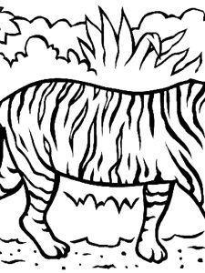 Adult Tiger Coloring Page