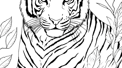 Amur Tiger Coloring Page