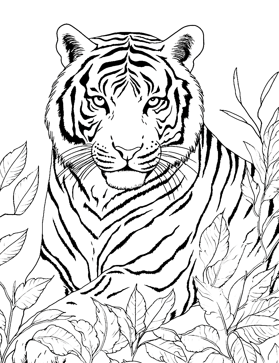 Amur Tiger Coloring Page