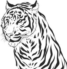 Beautiful Tiger Coloring Page