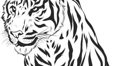 Beautiful Tiger Coloring Page