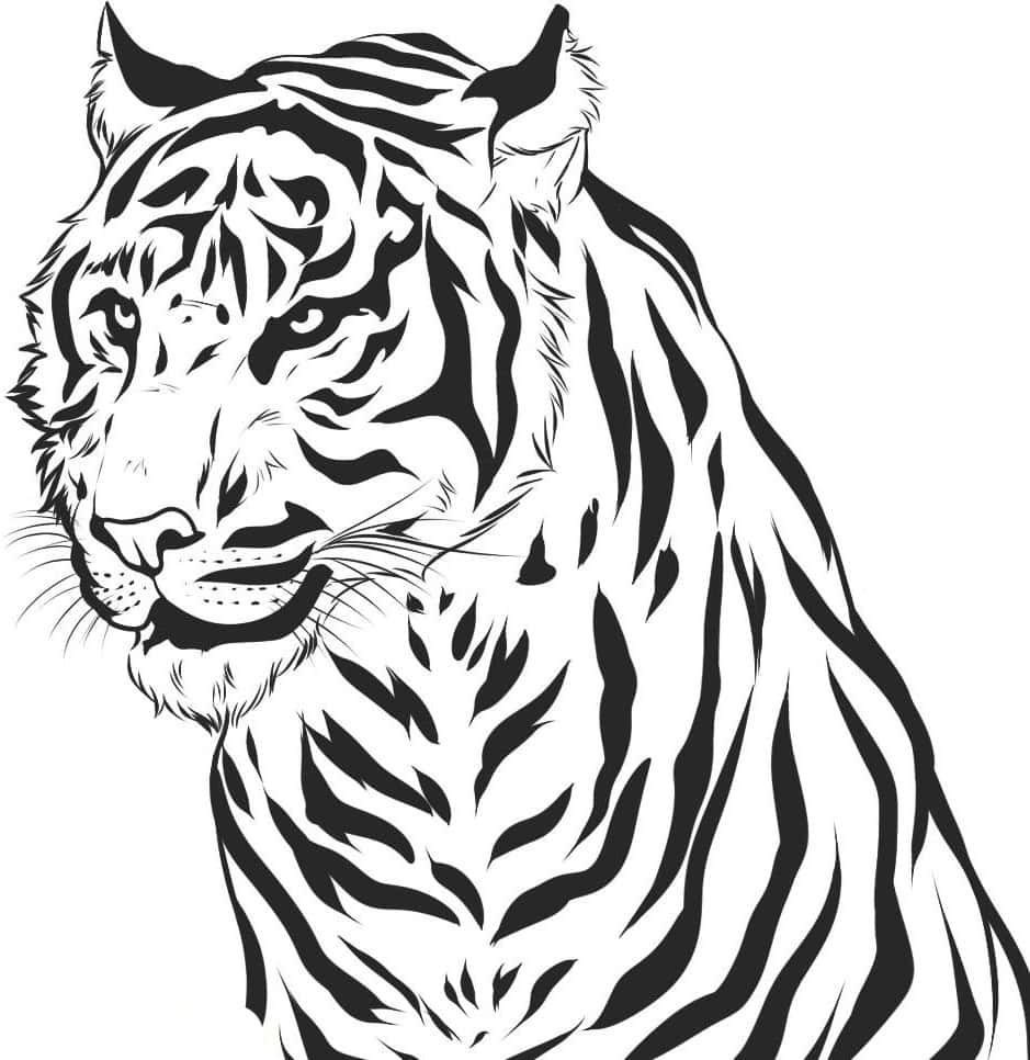 Beautiful Tiger Coloring Page