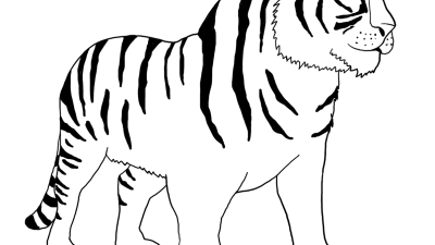 Bengal Tiger Coloring Page