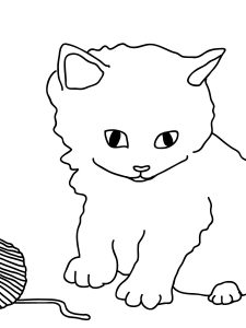 Cat Coloting Page For Kindergarten