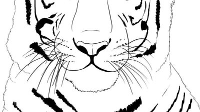 Coloring Page Of A Tiger