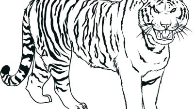 Scary Tiger Coloring Pages