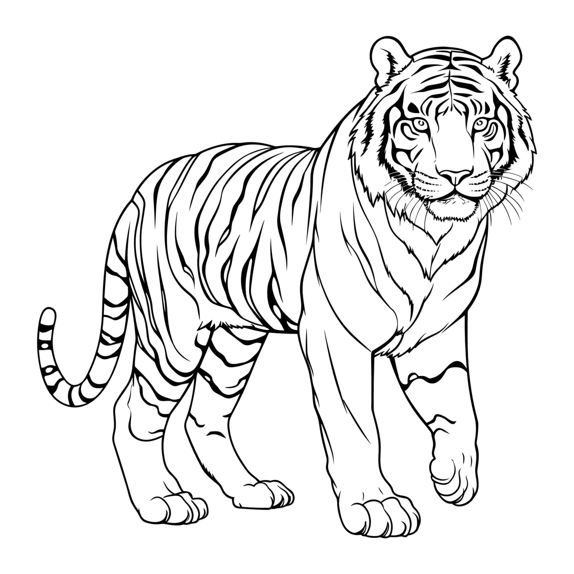 Siberian Tiger Coloring Page