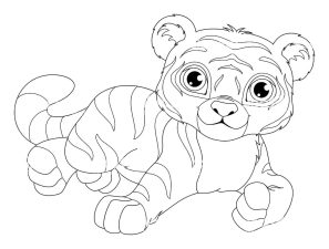 Tiger Drawing For Coloring