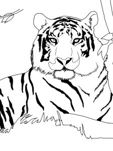 Tiger Habitat Coloring Pages