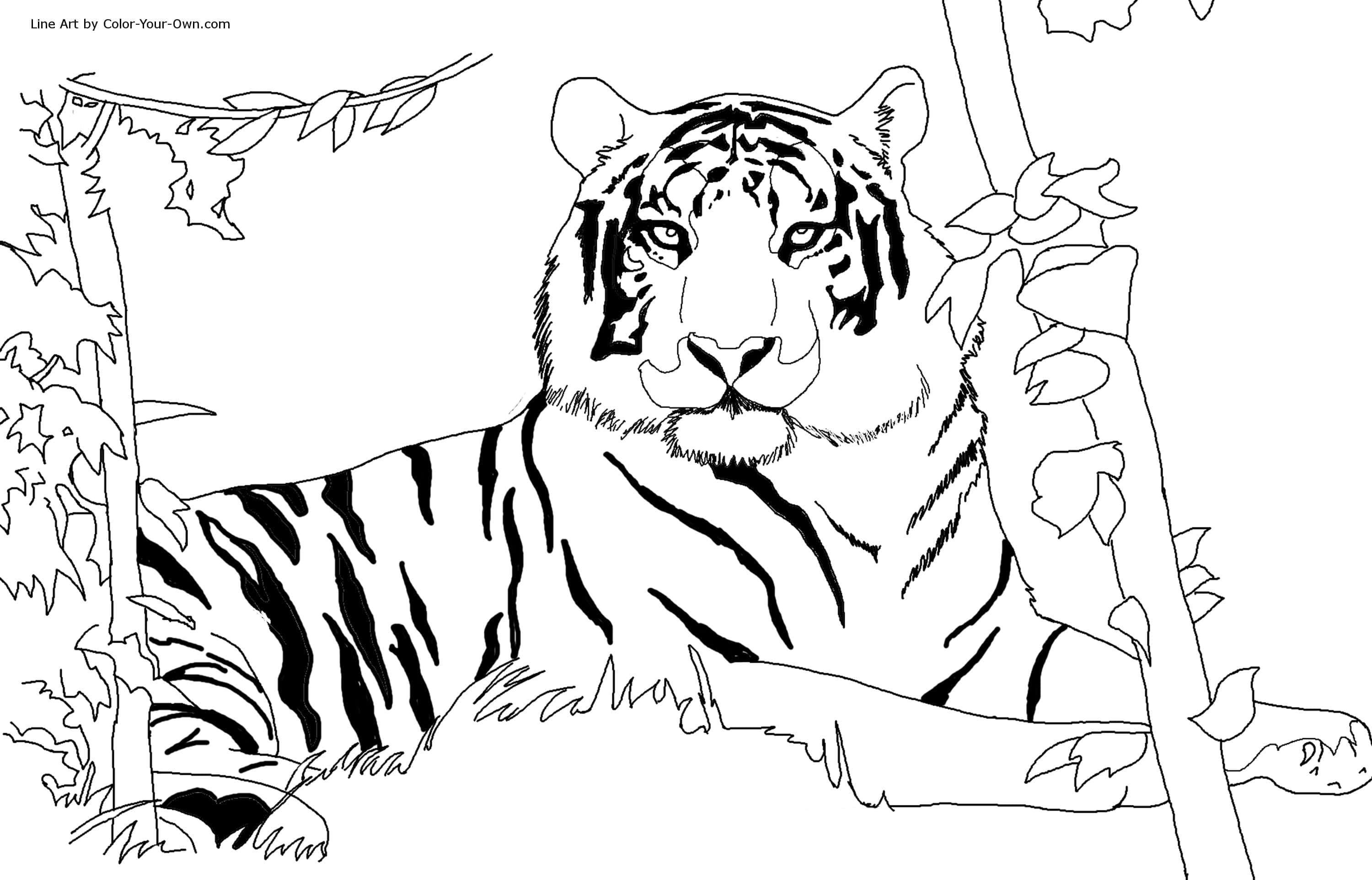 Tiger Habitat Coloring Pages