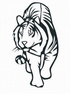 White Bengal Tiger Coloring Page