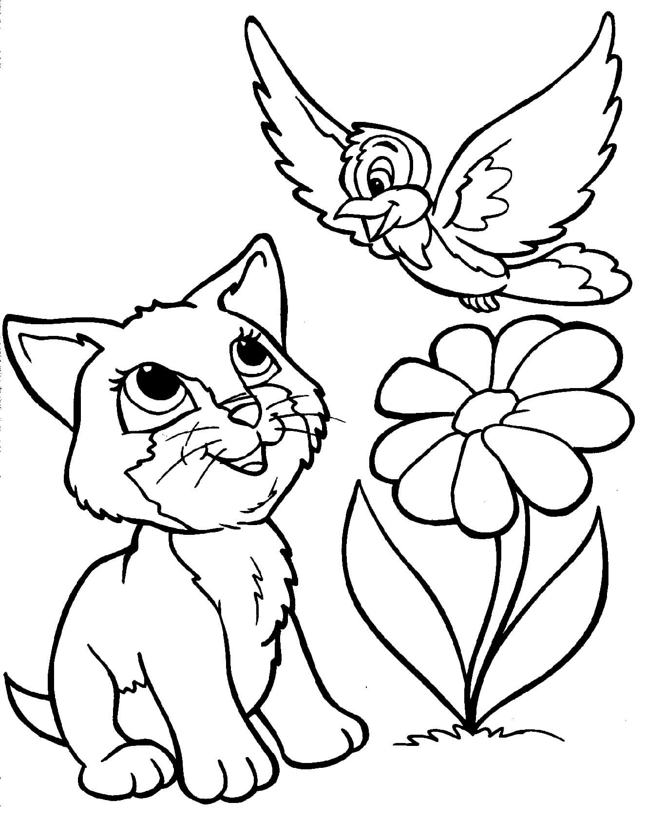 Cat And Bird Coloring Page