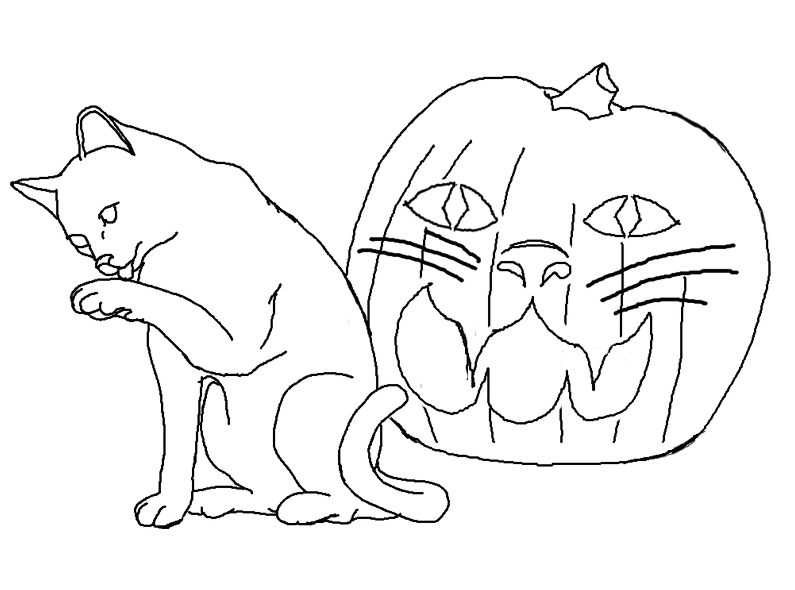 Cat And Pumpkin Coloring Page