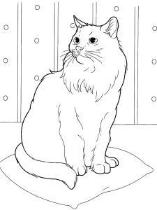 Realistic Cat Coloring Page