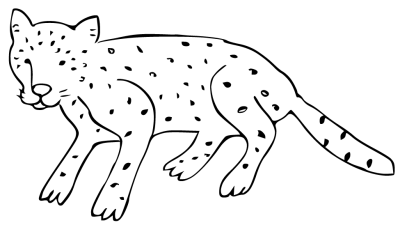 Cheetah Coloring Page Preschool