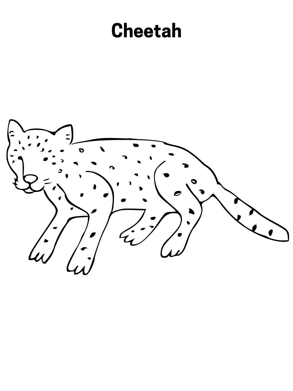 Cheetah coloring page preschool