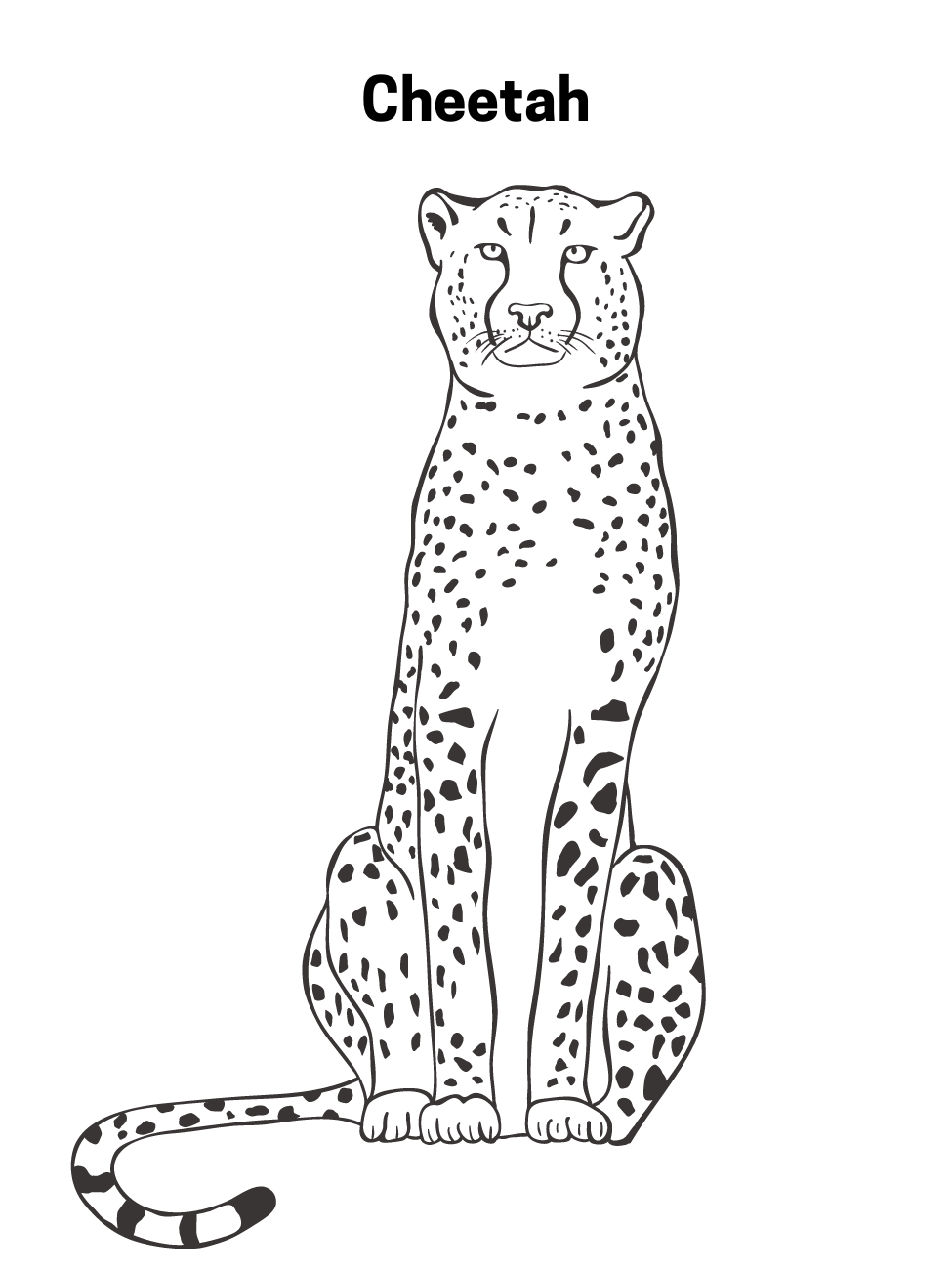 Realistic cheetah coloring page