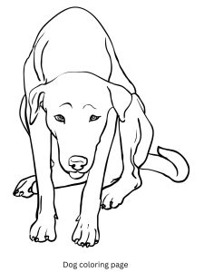 Dog Coloring Book