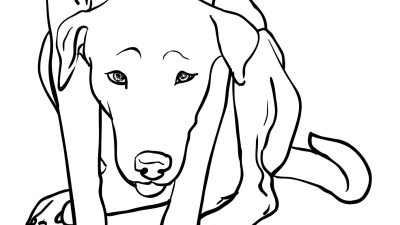 Dog Coloring Book