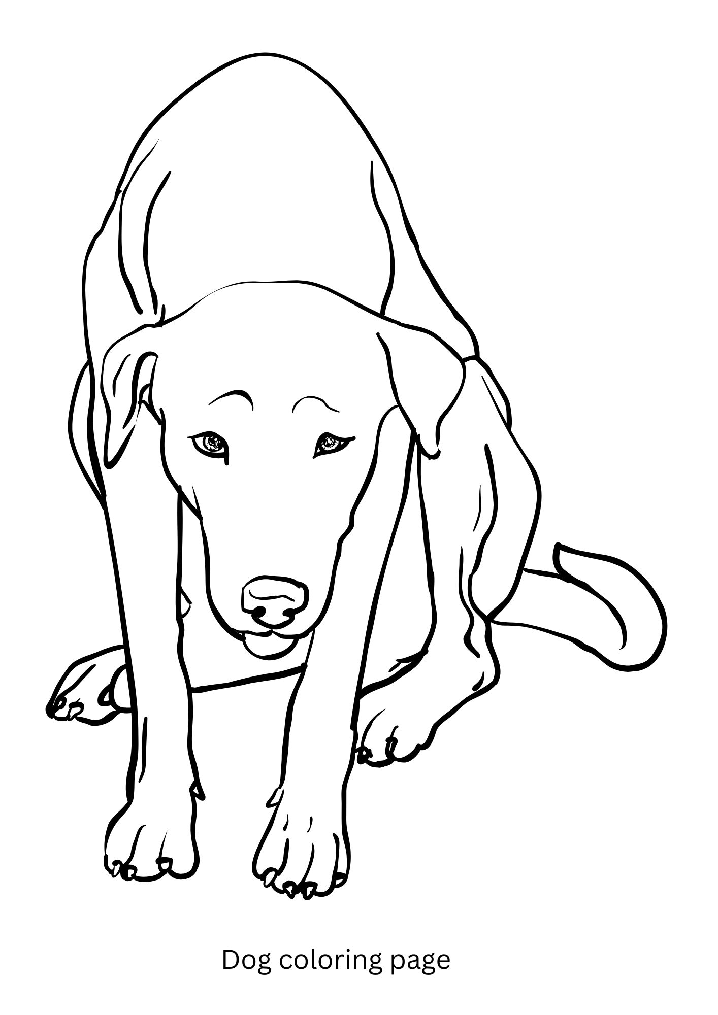 Dog coloring book