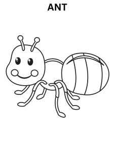 Ant Coloring Page For Kids