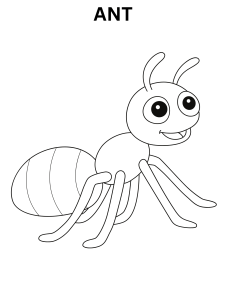 Ant Coloring Page For Preschoolers