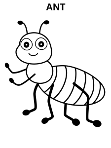 Ant Colouring Images