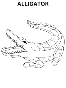 Free Alligator Coloring Images