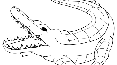 Free Alligator Coloring Images