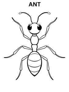 Online Ant Coloring Page
