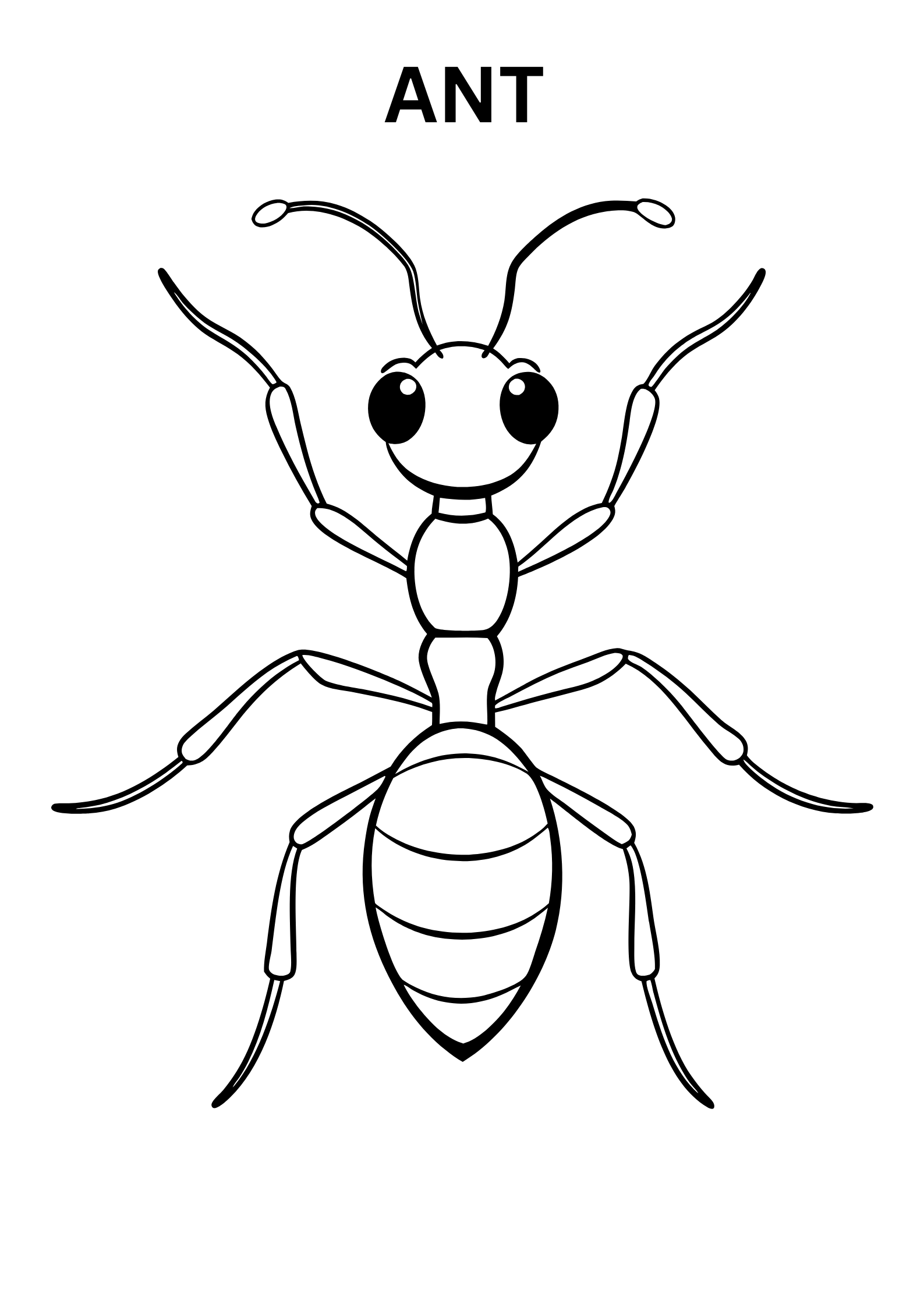 Online Ant Coloring Page