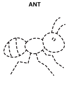 Simple Ant Coloring Page