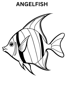 Angelfish Coloring Page Online