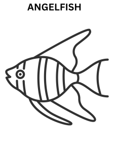 Angelfish Coloring Pages For Kids