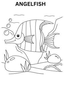Angelfish Image To Color Online