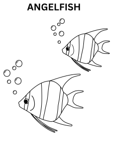 Angelfish Outline To Color Online