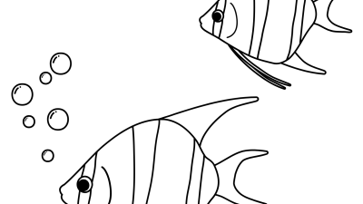 Angelfish Outline To Color Online