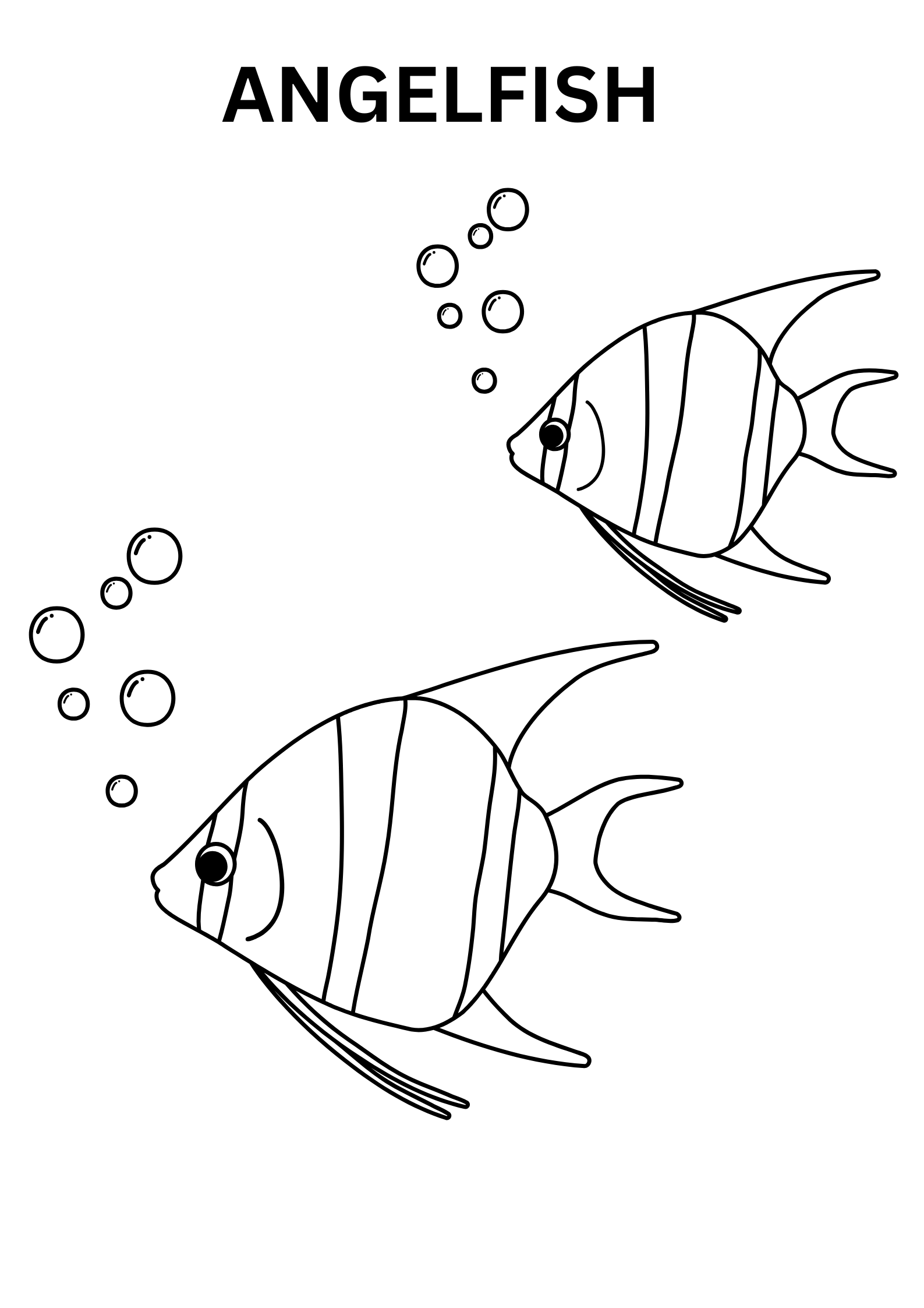 Angelfish Outline To Color Online