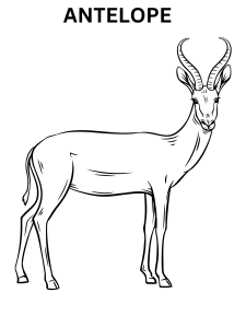 Antelope Coloring Sheet Online