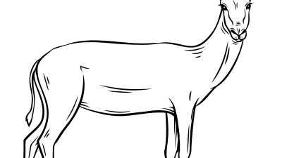 Antelope Coloring Sheet Online