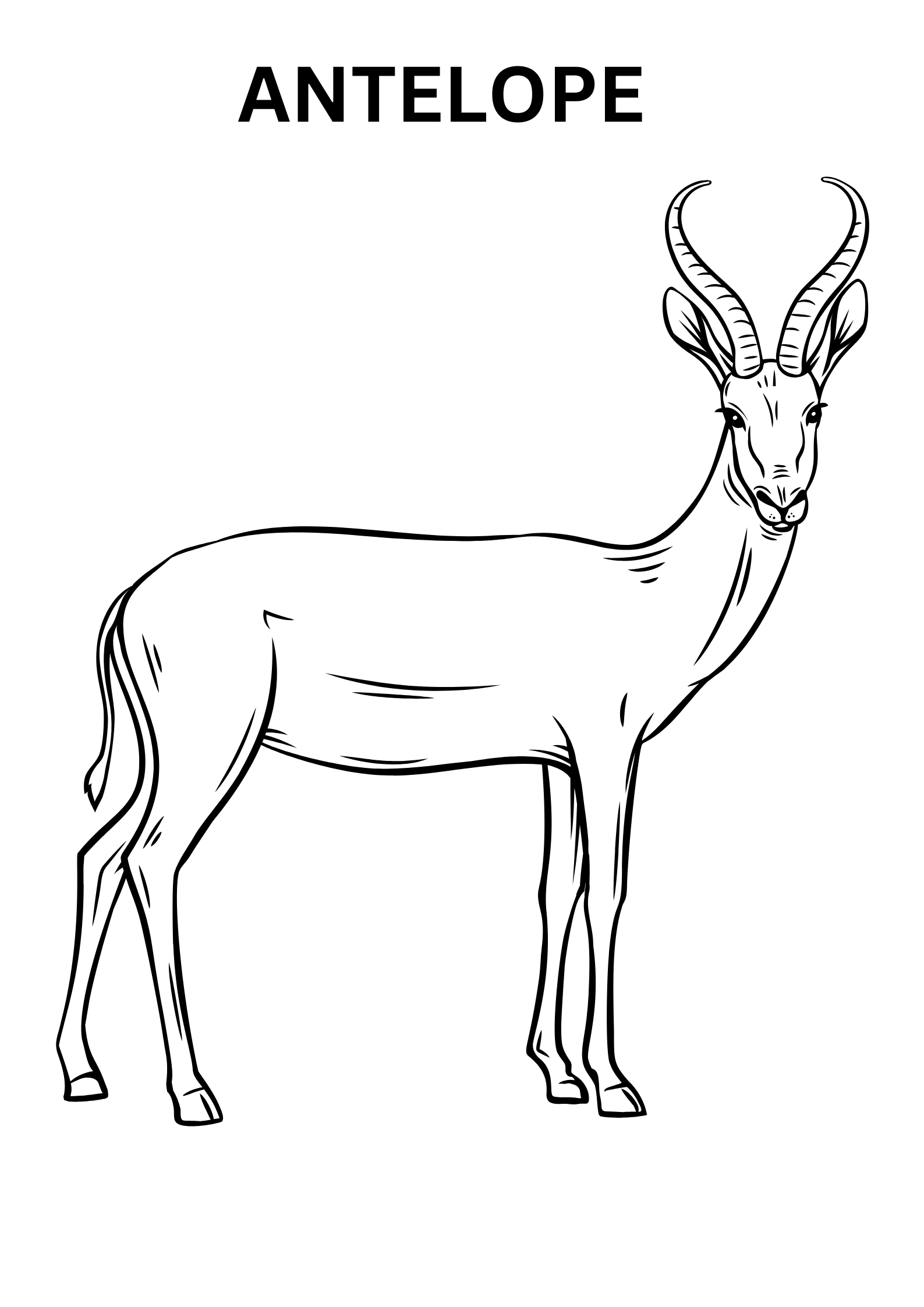 Antelope Coloring Sheet Online