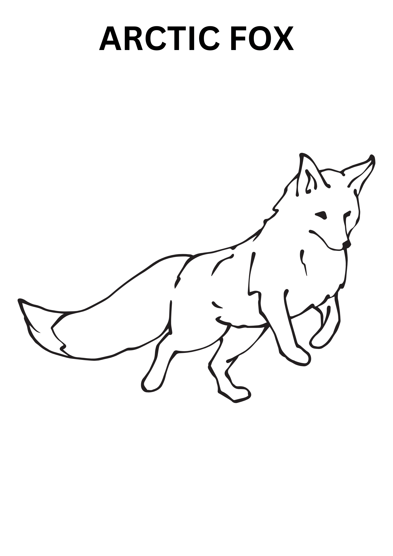 Arctic Fox Colouring Pages Online