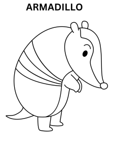 Armadillo Coloring Pages For Preschoolers