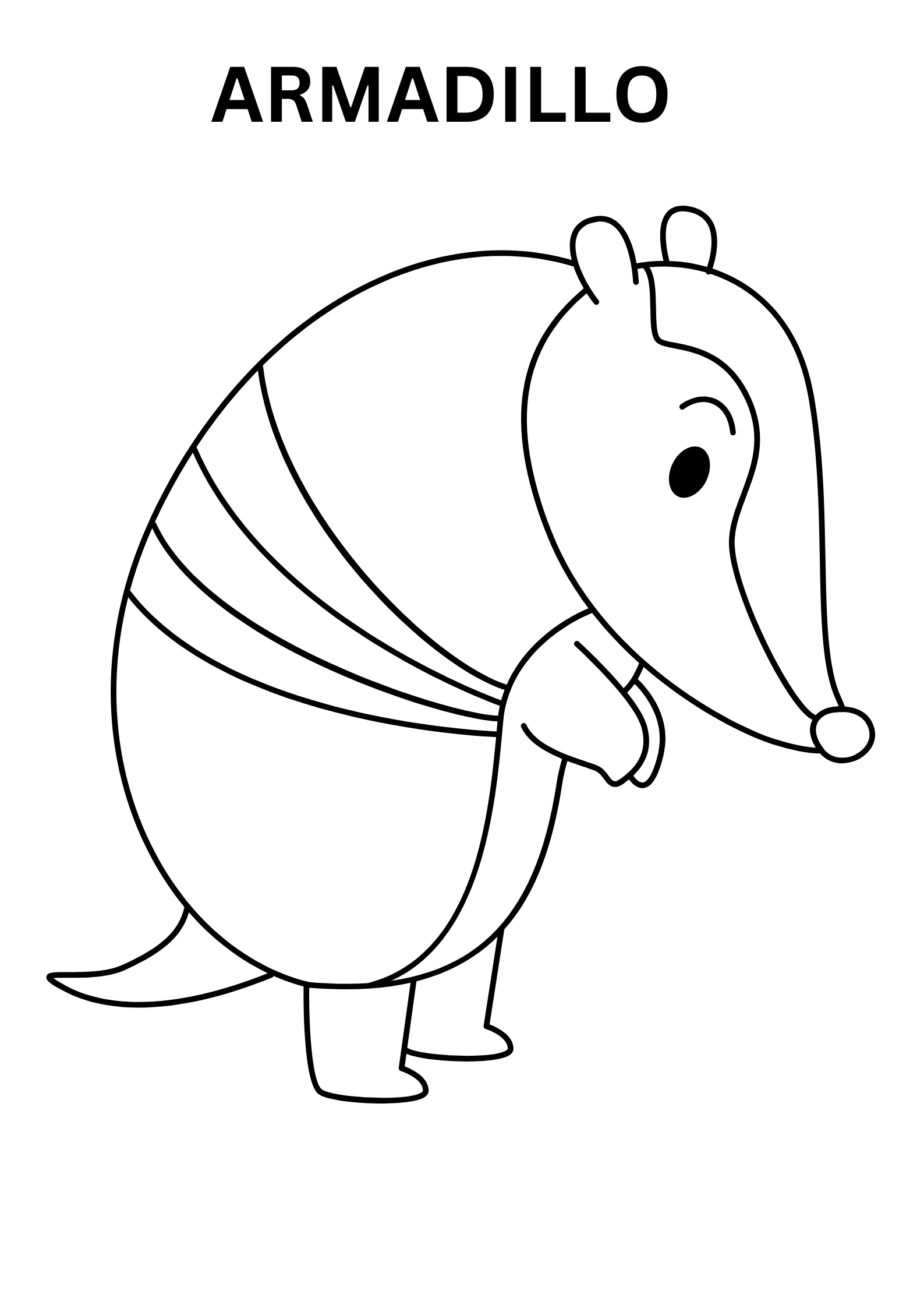 Armadillo Coloring Pages For Preschoolers