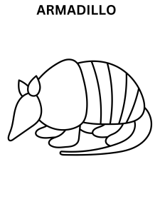 Armadillo Coloring Pages For Toddlers