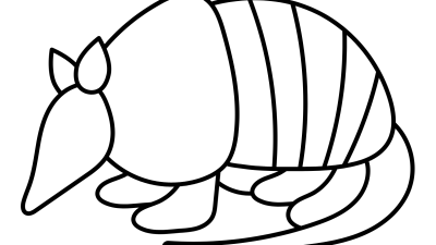 Armadillo Coloring Pages For Toddlers