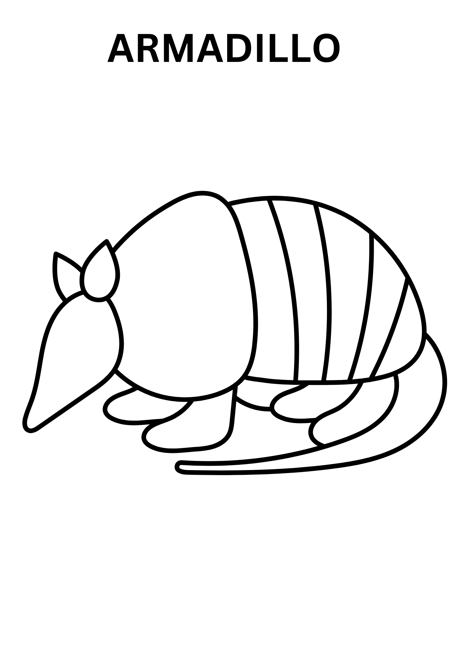 Armadillo Coloring Pages For Toddlers