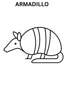 Armadillo Printable Coloring Pages