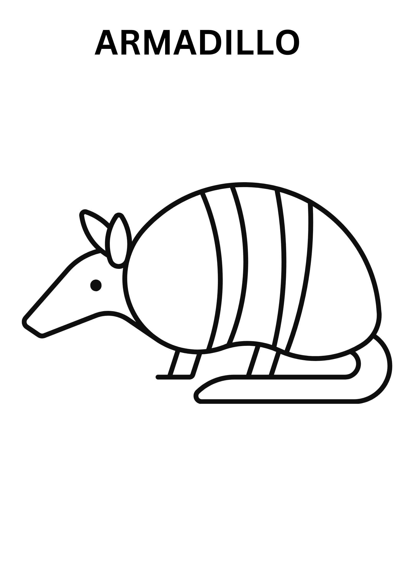 Armadillo Printable Coloring Pages