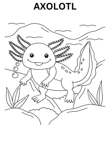 Axolotl Coloring Pages For Adults